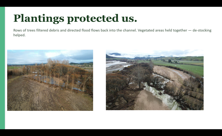 Field Trip: Willows for Flood Risk — Hinetai Hops, Tapawera